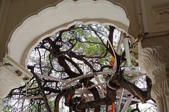 Tour image 9